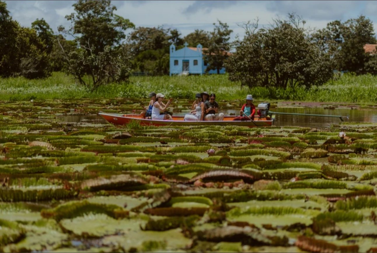 Mulheres peneirando farinha na casa de forno